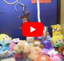 Claw Machine Win Video